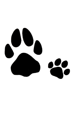 Quick tattoo Glittertatuering Paw 5st